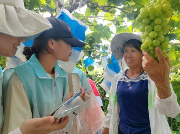 图9：成员们向果农了解葡萄种植情况