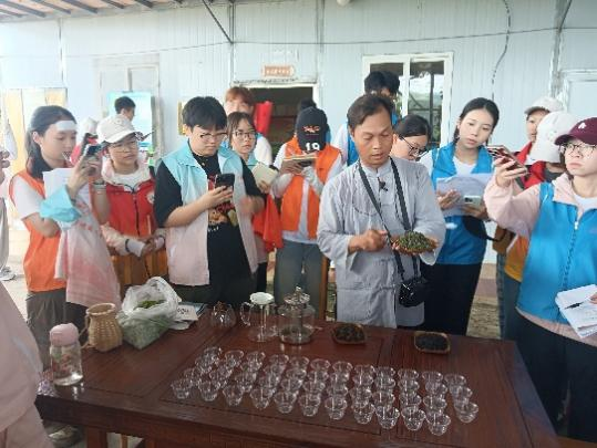 图11：古琶茶手艺人向成员们介绍古琶茶